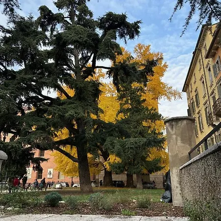 Appartamento Domus Largo Pescheria *